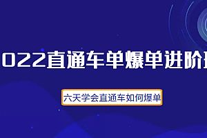 2022直通车爆单进阶班2.0:六天学会如何通过直通车爆单(价值998元)
