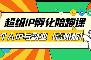 超级IP孵化陪跑课:个人IP与副业(高阶版)41节课