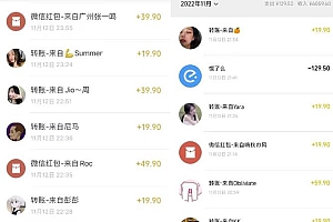 小红书虚拟电商项目:从小白到精英 月收益5000到30000 (视频课程+交付手册)