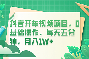 抖音开车视频项目,0基础操作,每天五分钟,月入1W+