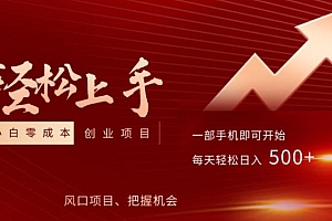 小白0成本上手项目,把握风口,轻松日入500+