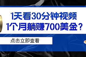 1天看30分钟视频,1个月躺赚700美金?