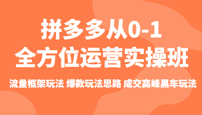 拼多多从0-1全方位运营实操班：流量框架玩法，爆款玩法思路，成交高峰黑车玩法插图