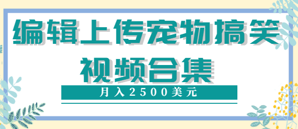 编辑上传宠物搞笑视频合集：就可以通过YouTube赚钱月入2500美元插图