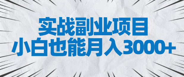 图片[1]-实战副业项目，小白也能月入3000+，易上手，人人可做【视频教程】-阿灿说钱