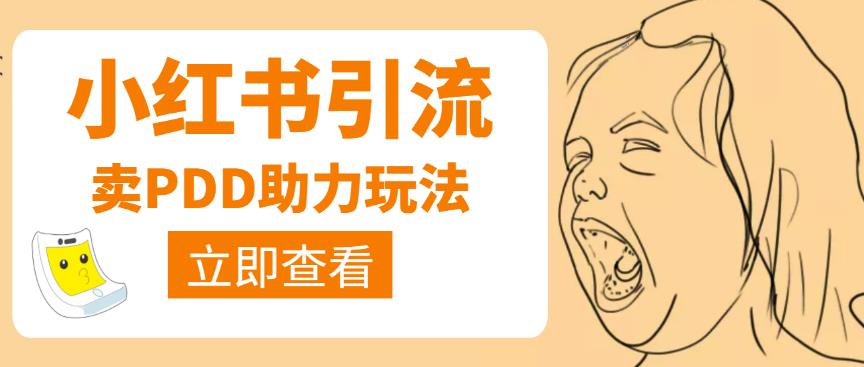 图片[1]-利用小红书卖拼多多助力，日赚100+，顺便还能引个流【视频课程】-阿灿说钱