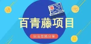 百度百青藤项目，点击广告日赚500，长期可操作（含全套工具）插图