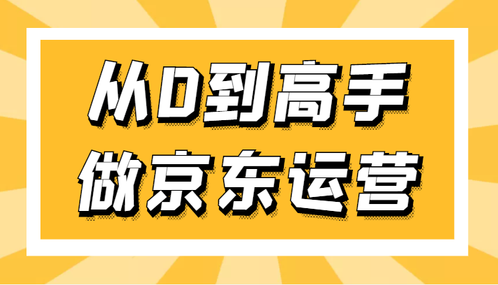 专业京东运营8年实操讲师教你从0到高手做京东运营插图