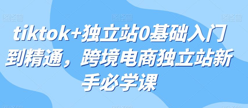 图片[1]-TIKTOK+独立站0基础入门到精通，跨境电商独立站新手必学课-阿灿说钱